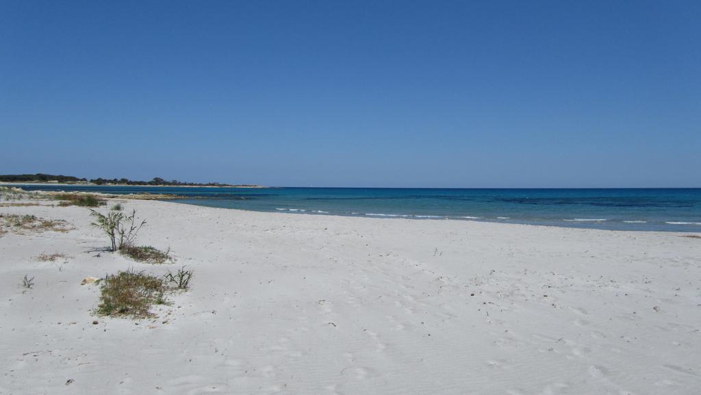 La Corte Degli Ulivi Appartamenti Cala Liberotto Habitación foto